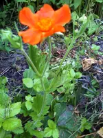 07-07-11_2033.webp