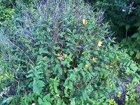 12-07-11_1746.webp