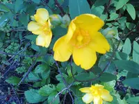 12-07-11_1747.webp