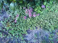 12-07-11_1749.webp