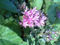 12-07-11_1750.webp