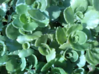 12-07-11_1752.webp
