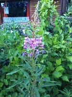 12-07-11_1753.webp