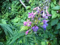 12-07-11_1754.webp
