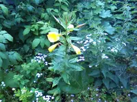 22-06-11_1326.webp