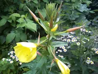 22-06-11_1327.webp