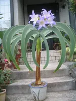 _bulb_a1157979136kikoka_3.webp