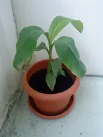 DSC02111.webp