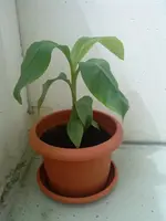 DSC02114.webp