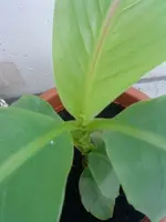 DSC02112.webp