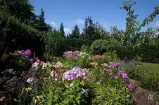 blog_4005.webp