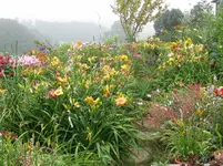IMG_5307_1067x800.webp