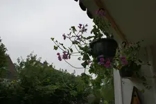 DSC01216.webp