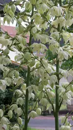 100_0129.webp