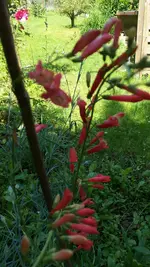 100_0114.webp