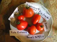 BILD0022.webp