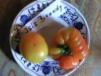 BILD0023.webp