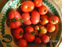 BILD0025.webp