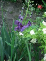 CIMG4894.webp