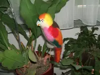 2011_0709070004.webp