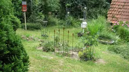 garten.webp