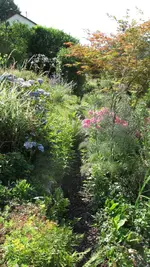 gartenweg beete.webp