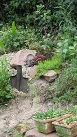 steingarten (3).webp
