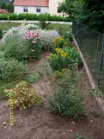 MD002132.webp