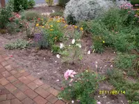 MD002134.webp