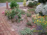 MD002135.webp