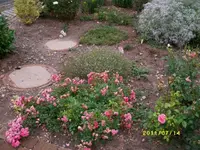 MD002137.webp