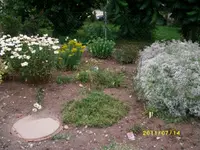 MD002138.webp