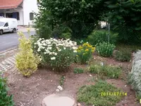 MD002139.webp