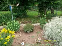 MD002141.webp