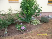 MD002144.webp