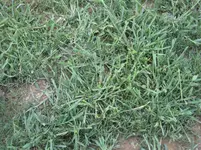 IMG_2274.webp