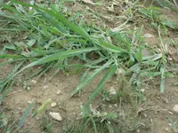 IMG_2275.webp