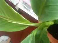 DSC02120[1].webp