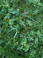 Foto.webp