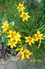 100_2909.webp