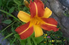 100_2910.webp