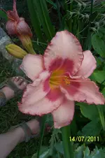 100_2911.webp