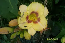 100_2913.webp