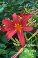 100_2917.webp