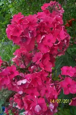 100_2922.webp