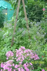 100_2924.webp