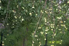 100_2946.webp