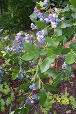 100_2943.webp