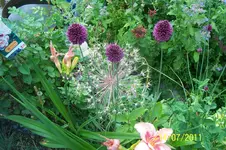100_2930.webp