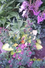 100_2944.webp